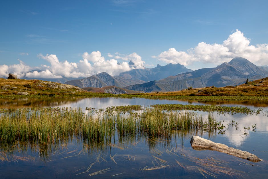 Techniques de relaxation pour un esprit apaisé