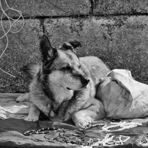 Techniques de relaxation pour apaiser l’esprit