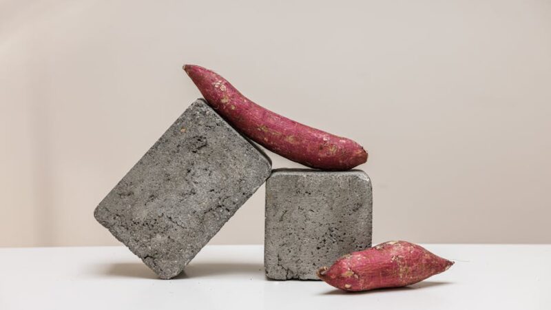 Alimentation et bien-être : un duo gagnant