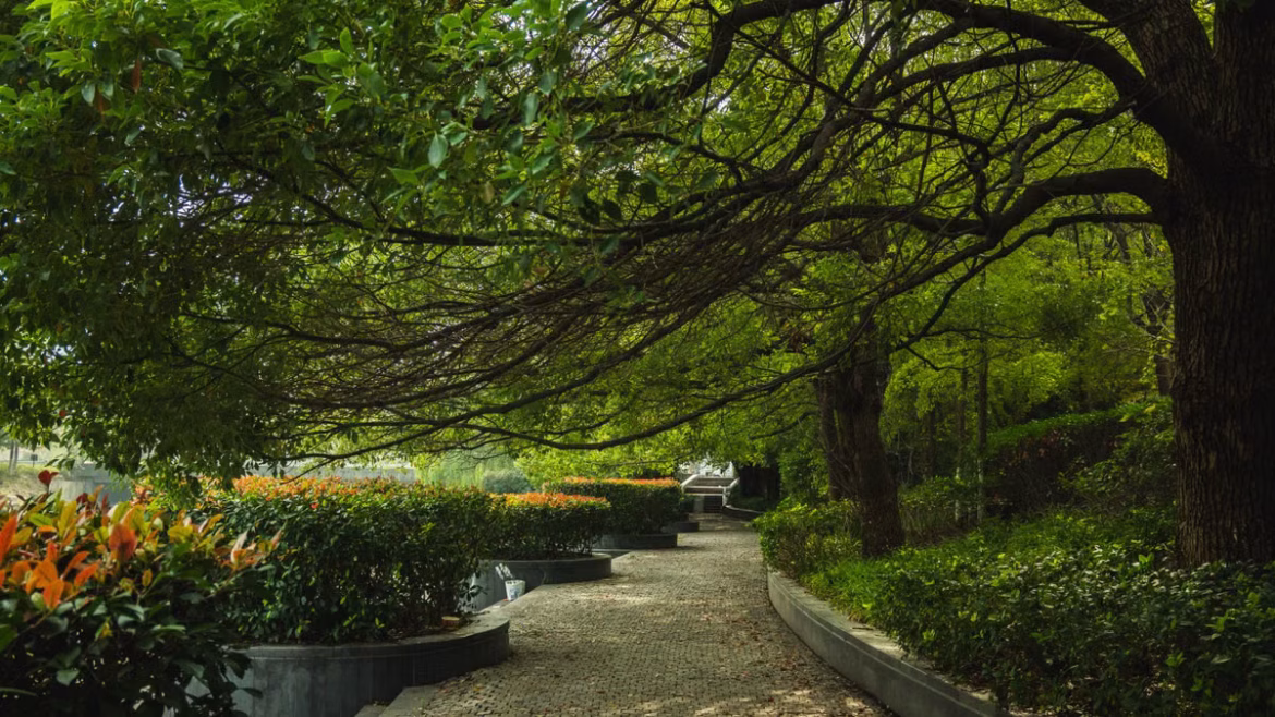 Thérapie par la nature en ville : 5 bienfaits prouvés