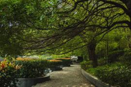Thérapie par la nature en ville : 5 bienfaits prouvés