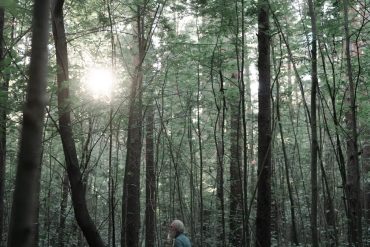 Bains de forêt 2026 : 5 preuves scientifiques de leurs bénéfices mentaux