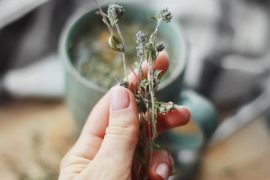 Adaptogènes 2026 : réduire le stress de 40% naturellement