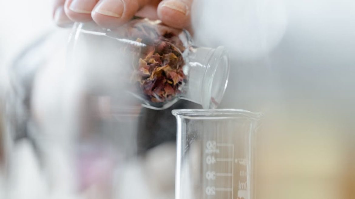Plantes médicinales et émotions : révolution bien-être 2026