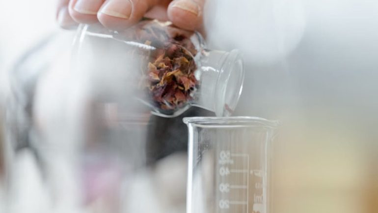 Plantes médicinales et émotions : révolution bien-être 2026